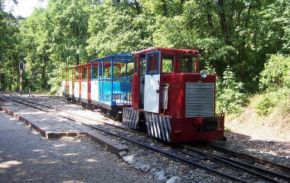 Forest (small) railway